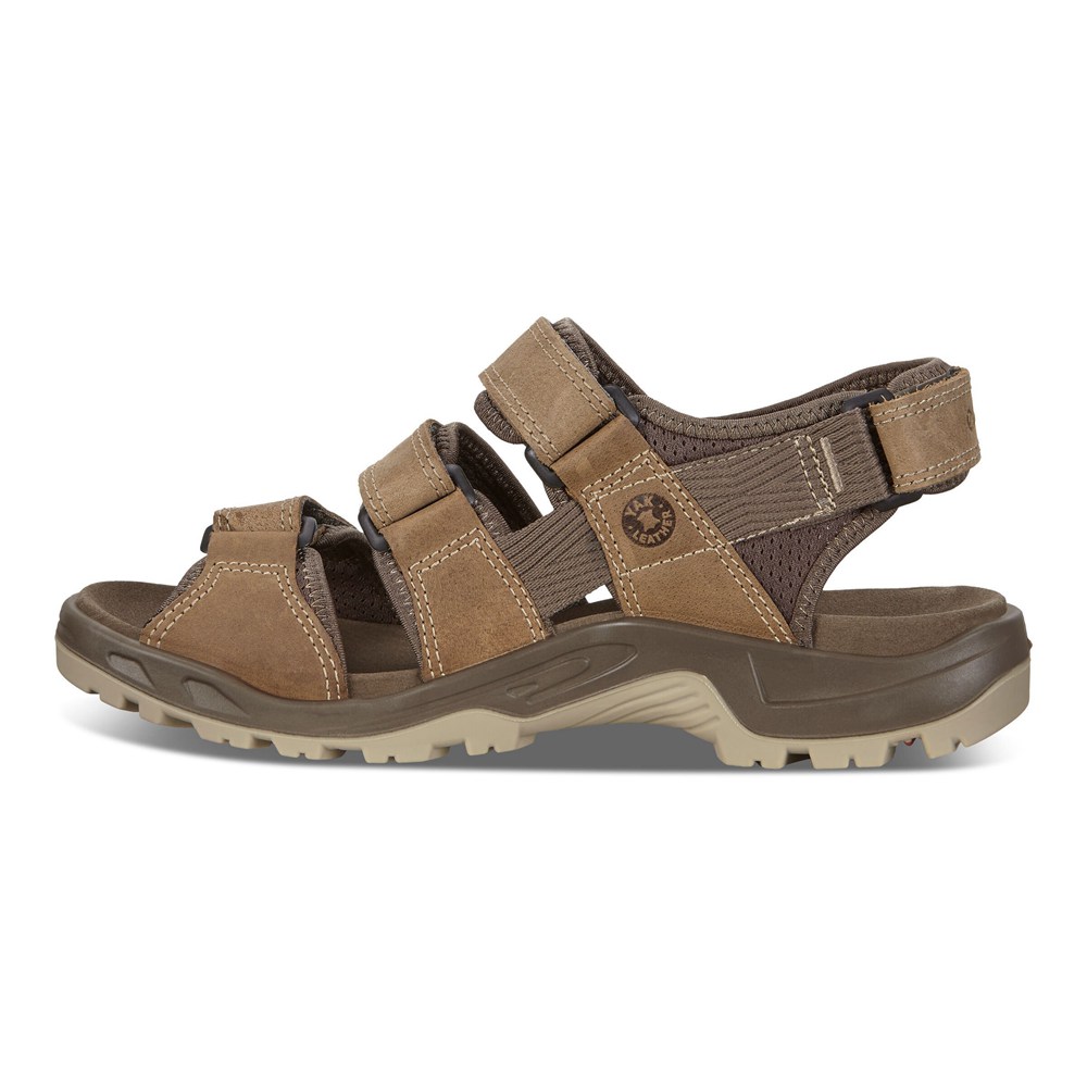 ECCO Mens Sandals Brown - Offroad Flat - GIH-947150